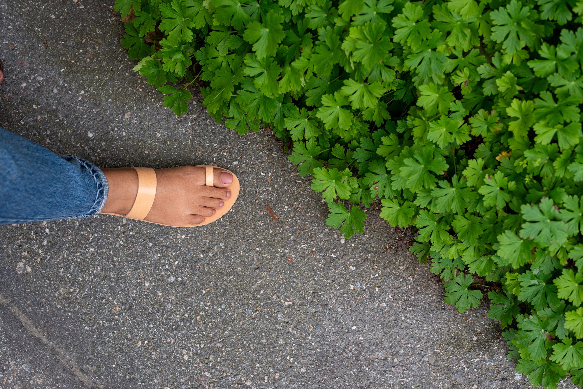 Women's Flat Sandals | Leather Flat Sandals for Women - PROÉLEFSI